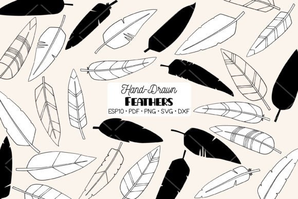 Hand Drawn Feathers Bird, Boho, Aztec Graphics